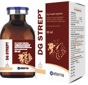 DG STREPT injection