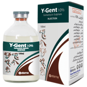 Y-GENT injection