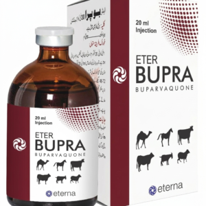 ETER-BURPA injection