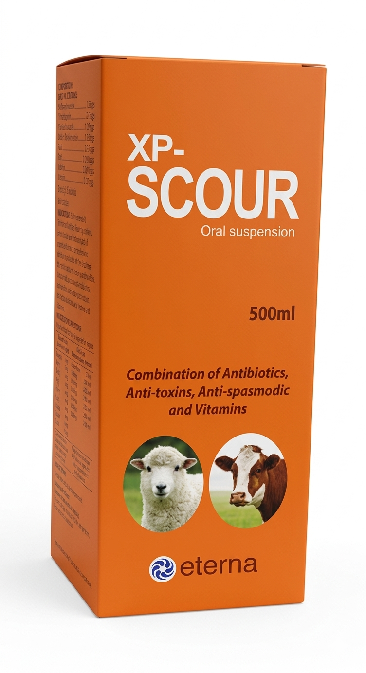 XP-SCOUR suspension