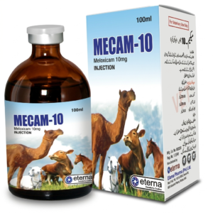 MECAM-10
