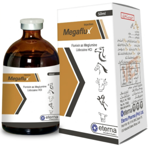 MEGAFLUX injection
