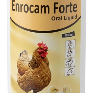 ENROCAM FORTE liquid