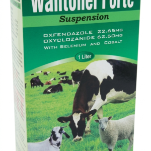 WANTONEL FORTE suspension