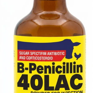 B-PENICILLIN 40LAC injection powder