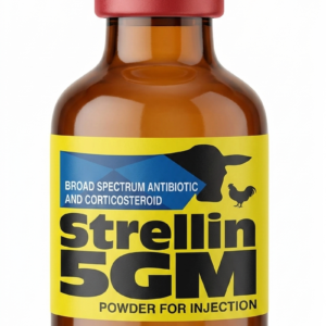 STERLLIN 5GM injection powder