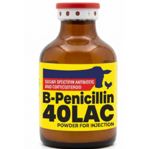 B-PENICILLIN 40LAC injection powder